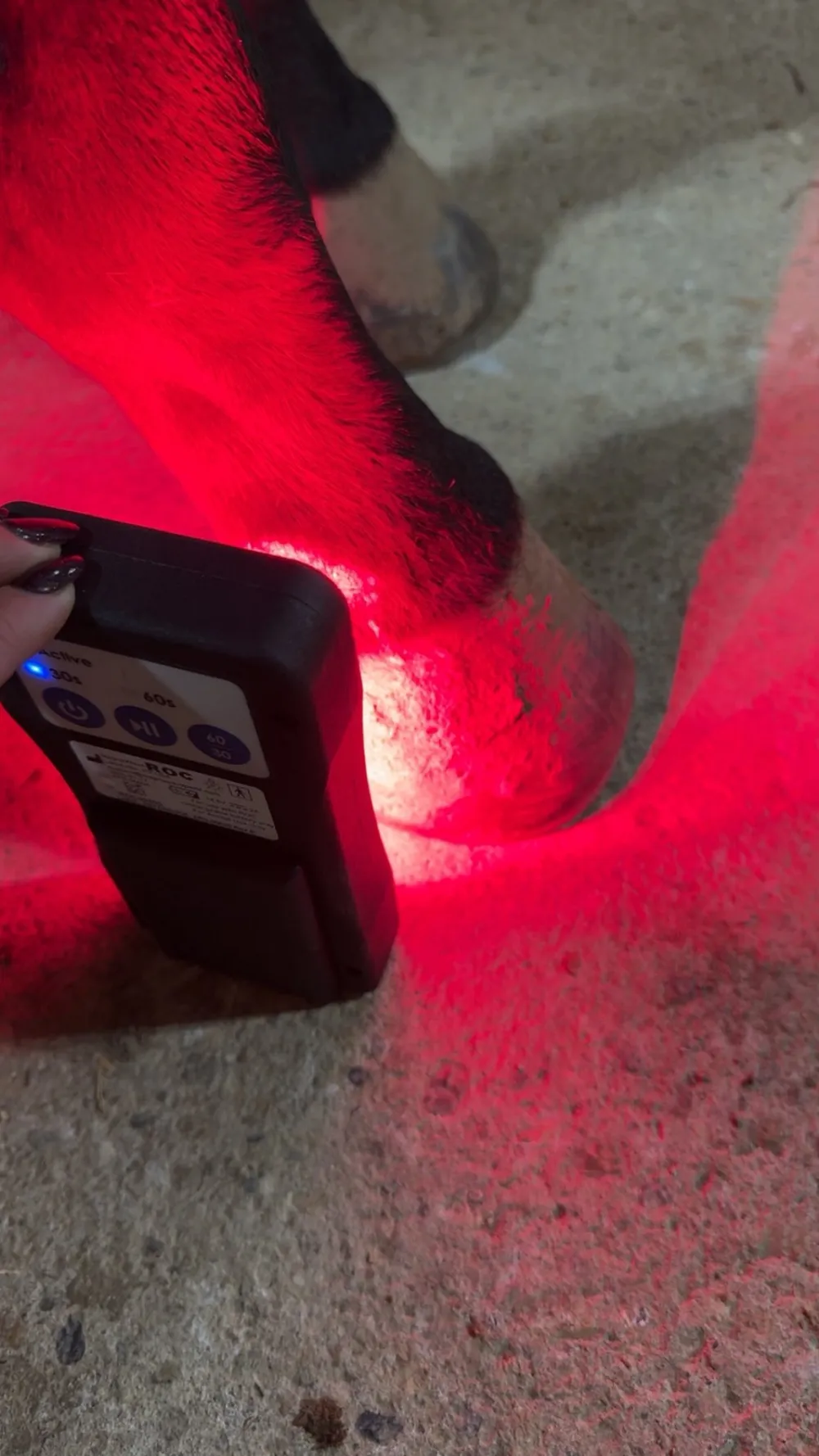 Red Light Therapy